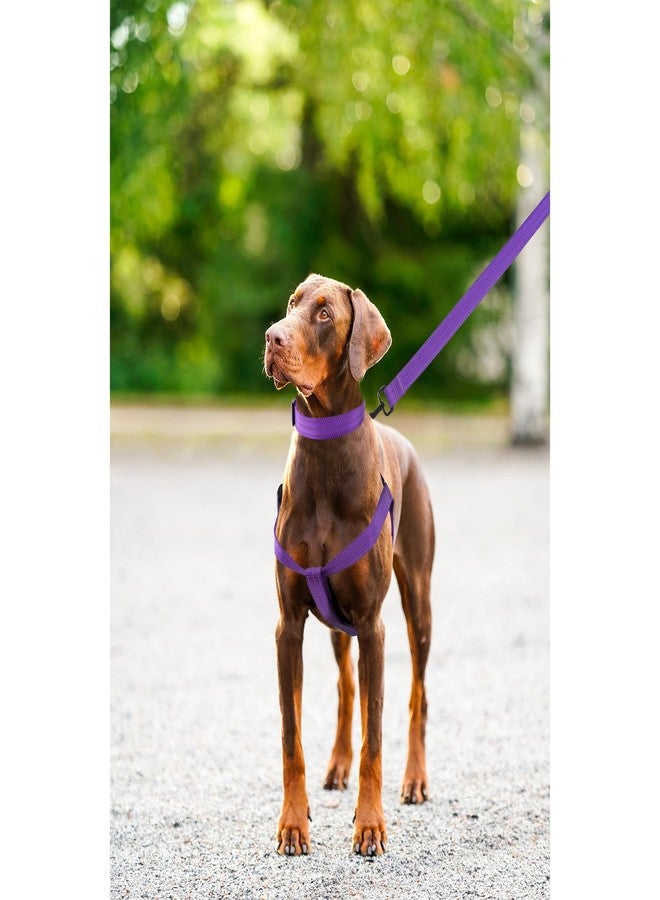 مايل هاي لايف طقم طوق ومقود وحزام للكلاب الصغيرة من مايل هاي لايف، عاكس للضوء، مزدوج الشريط قابل للتعديل، مصنوع من النايلون (لون بنفسجي داكن عاكس، كبير (عبوة من 3 قطع)) - Image 5